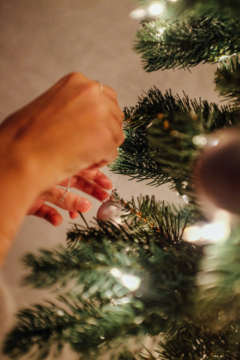 Christmas & New Years 2025